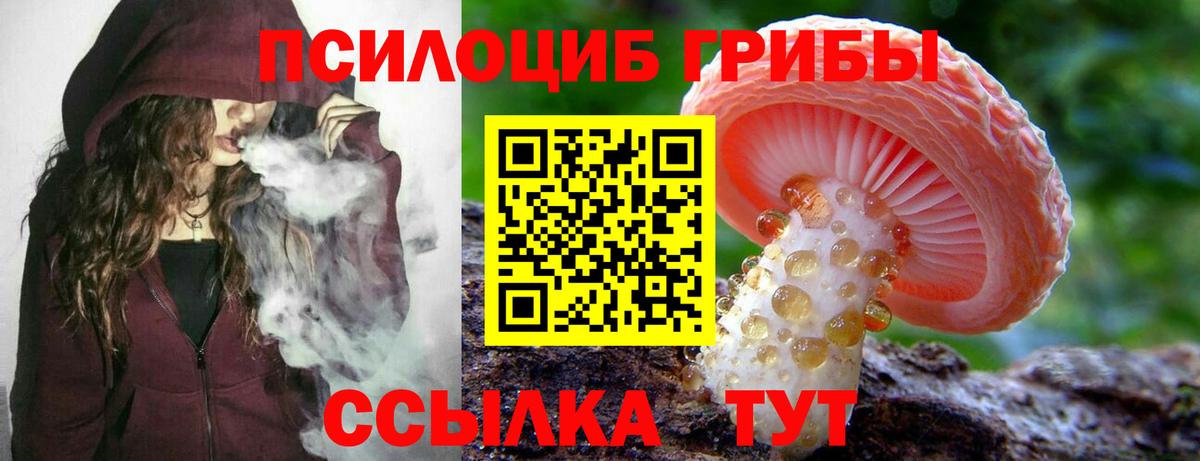 Псилоцибиновые грибы мицелий  Вход с VPN  Красный Сулин 