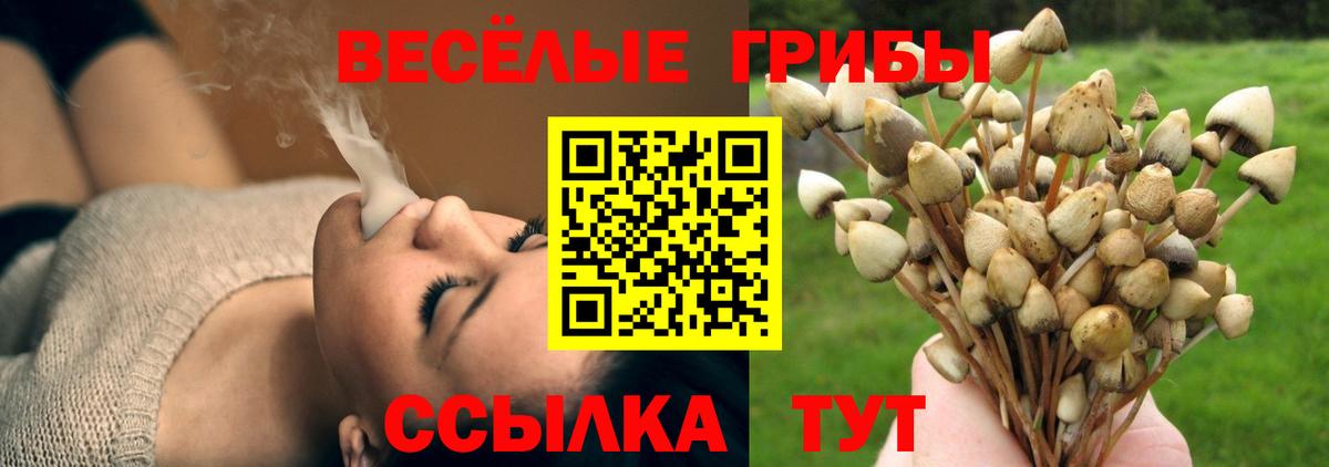 Меф МЯУ МЯУ  Вход с VPN  Красный Сулин  Бошки Шишки  Cocaine  Alpha PVP СОЛЬ кристаллы  Меф   ГАШ  Гашиш  Метамфетамин 